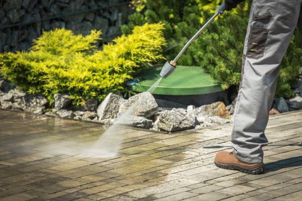 Best House Exterior Washing  in Moore Haven, FL